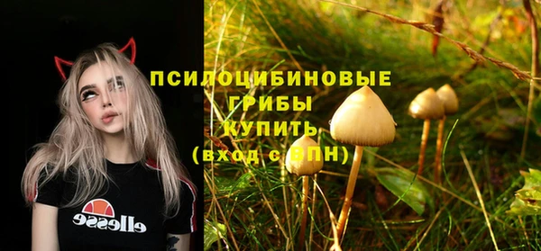 твердый Бородино