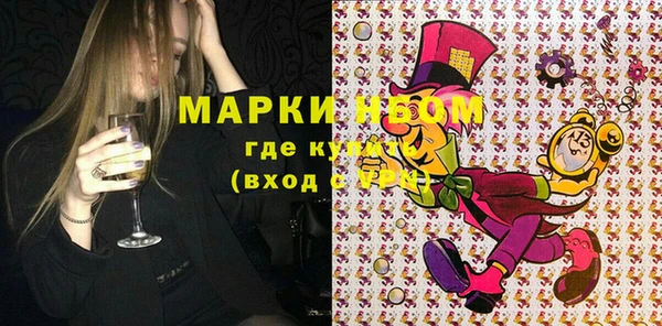 твердый Бородино